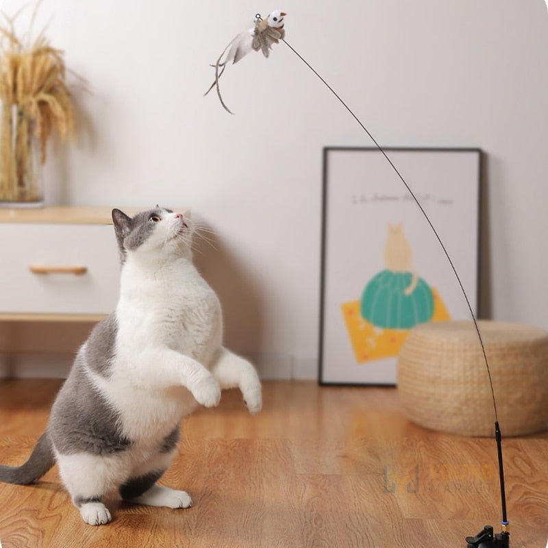 Brinquedo Inteligente para Gatos - Simulador de Passarinho com Sino Young Market