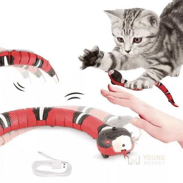 Cobra de Brinquedo Interativa com Sensor de Movimento Para Gato Coral Young Market